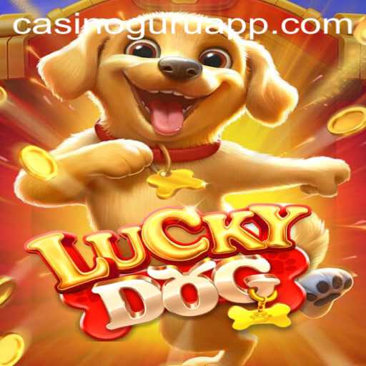 Dive into the Casino Action with LuckyDog